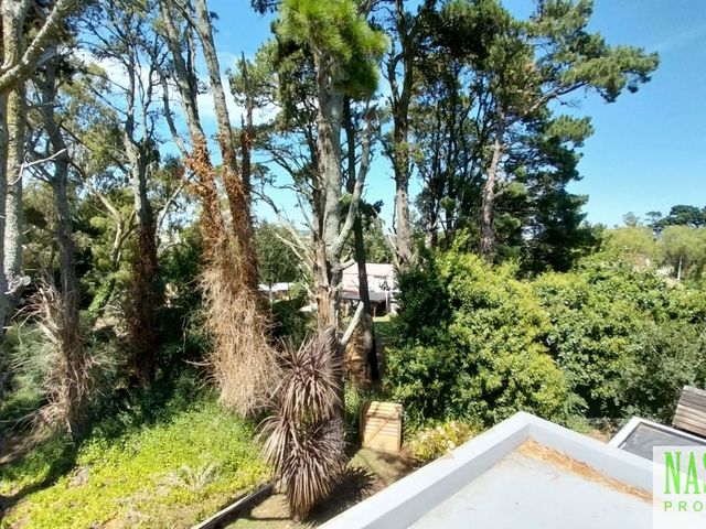 place photo 40