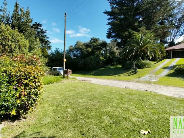 place photo 45