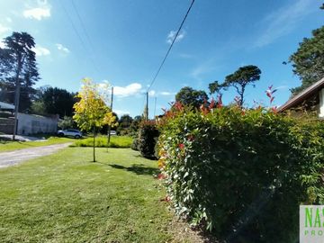 place photo 46