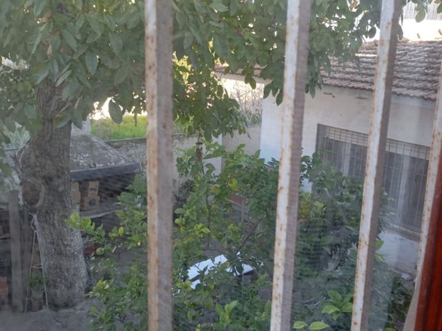 place photo 53