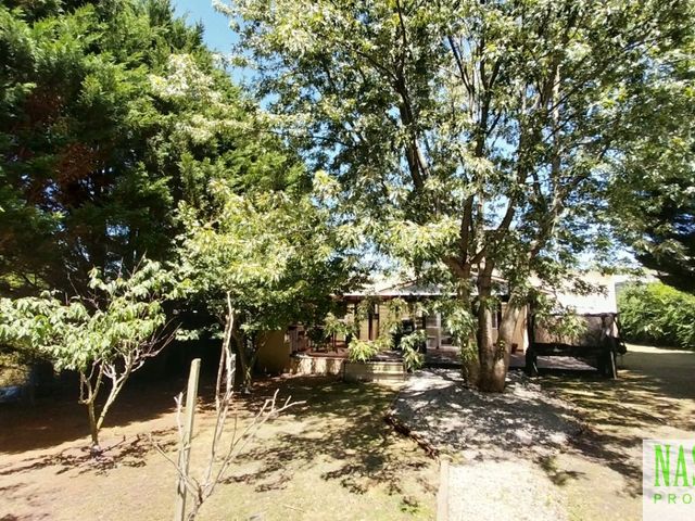 place photo 39