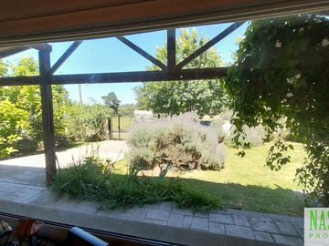 place photo 17