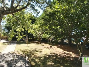 place photo 37