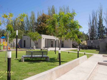 place photo 28