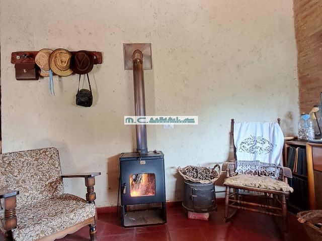 place photo 46