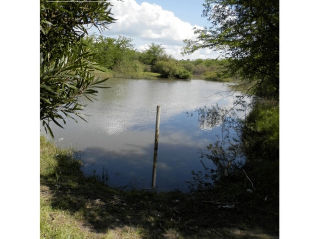 place photo 21