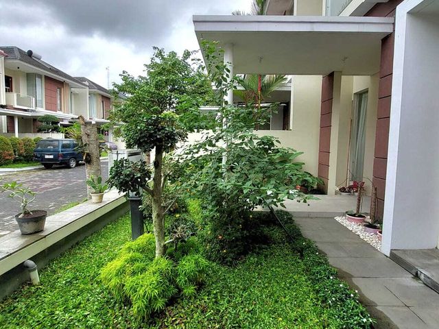 place photo 36