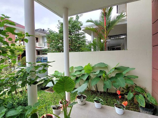 place photo 31