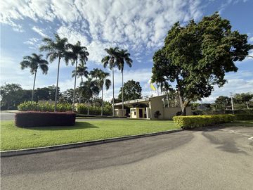 place photo 61