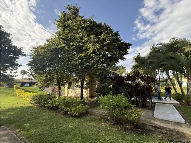 place photo 54