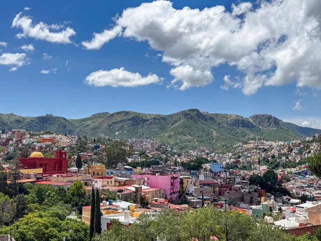 place photo 22