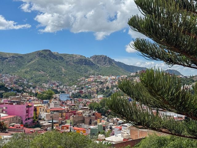 place photo 23