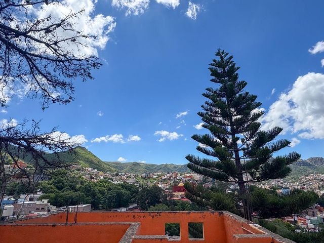 place photo 21