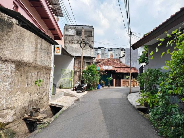 place photo 11