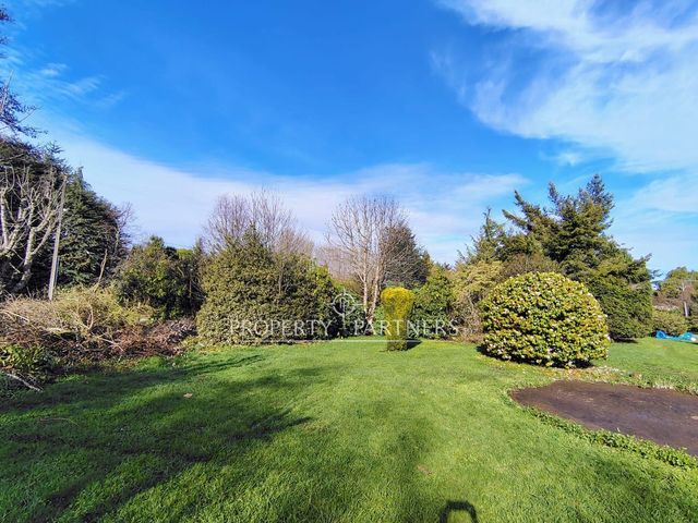 place photo 33