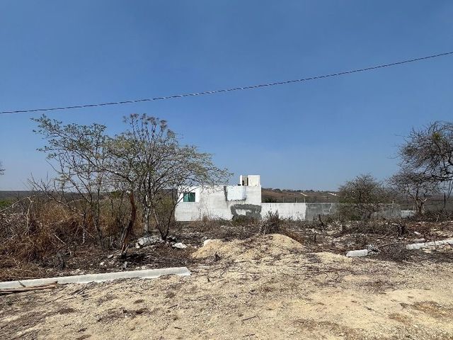 place photo 17
