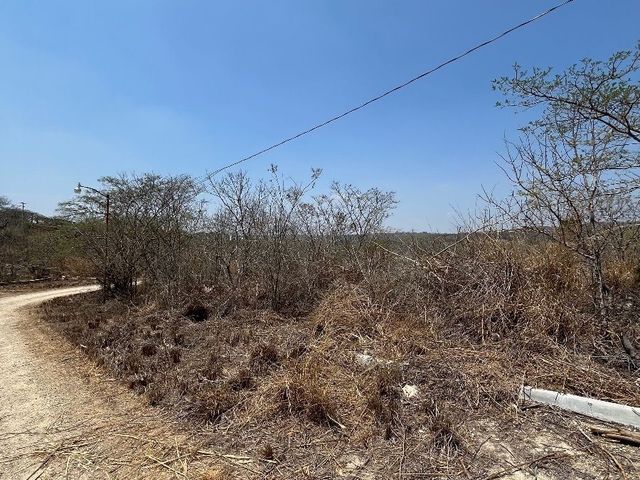 place photo 14