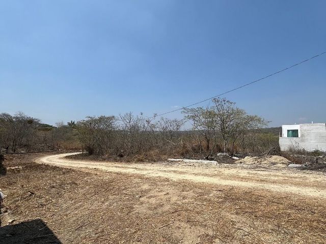 place photo 17