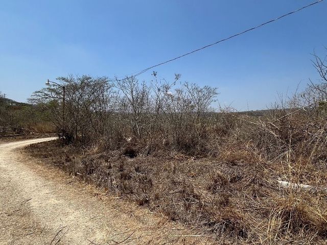 place photo 15