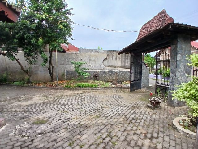 place photo 20