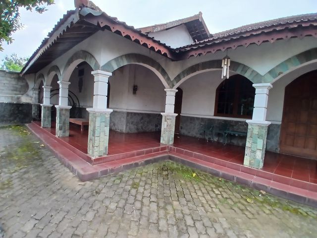 place photo 22