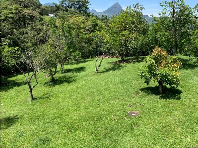 place photo 44