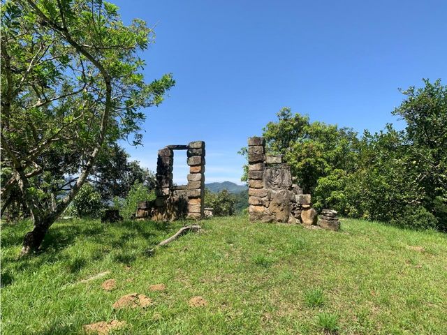 place photo 42