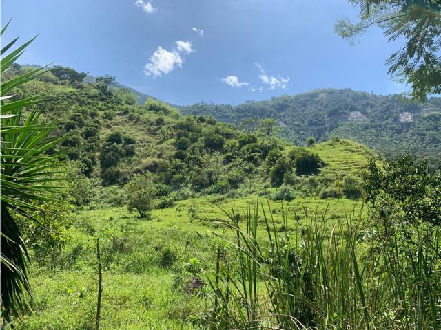 place photo 45
