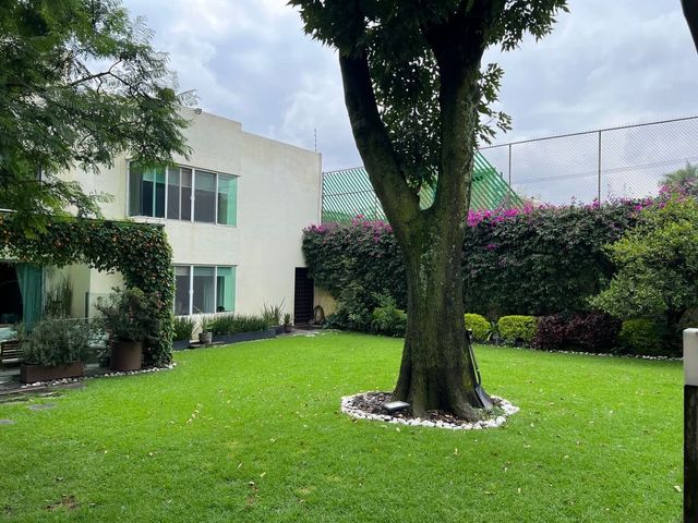 place photo 47