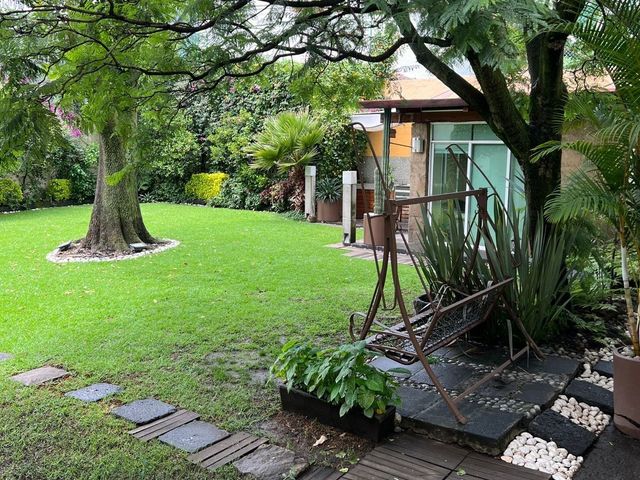 place photo 37