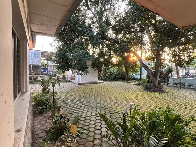 place photo 17