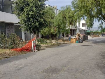 place photo 32
