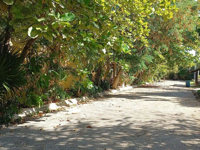 place photo 19