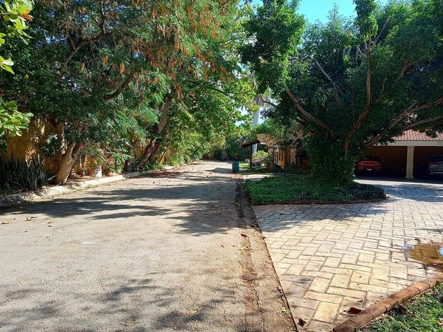 place photo 12