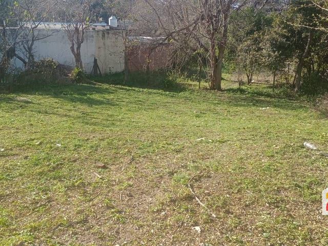 place photo 14