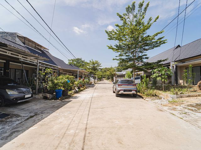place photo 16