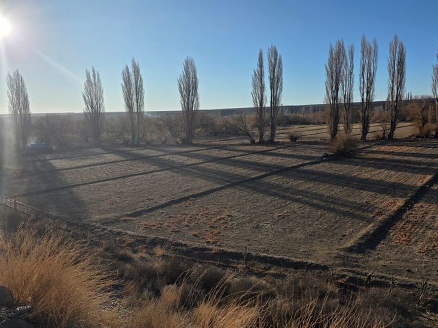 place photo 40