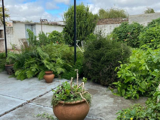 place photo 26