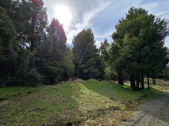 place photo 33