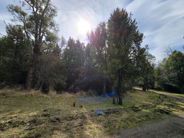 place photo 32