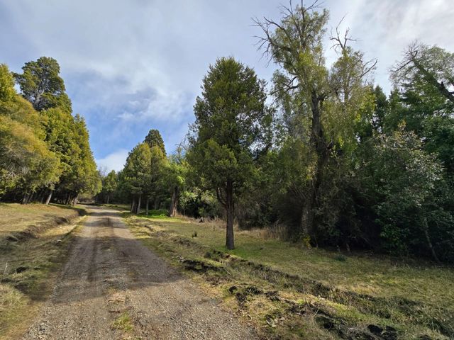 place photo 23