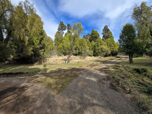 place photo 19