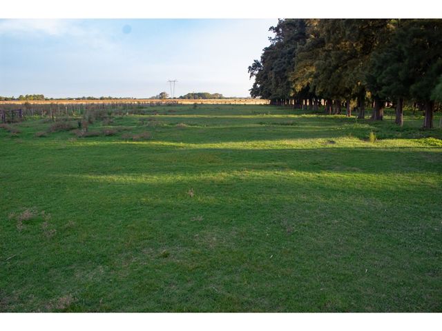 place photo 17