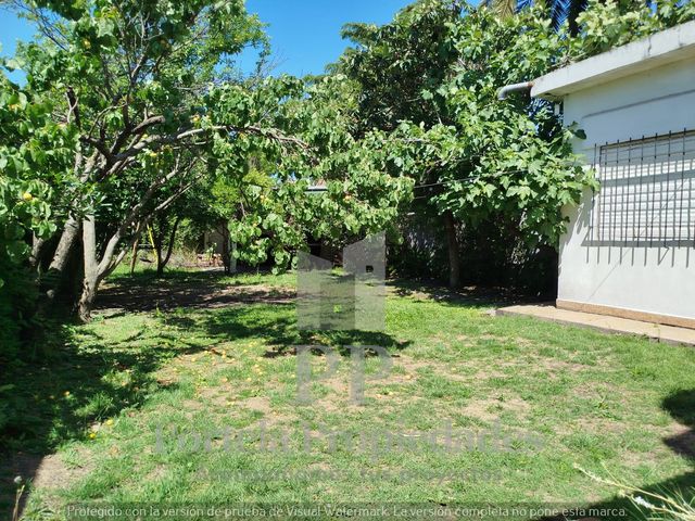 place photo 18