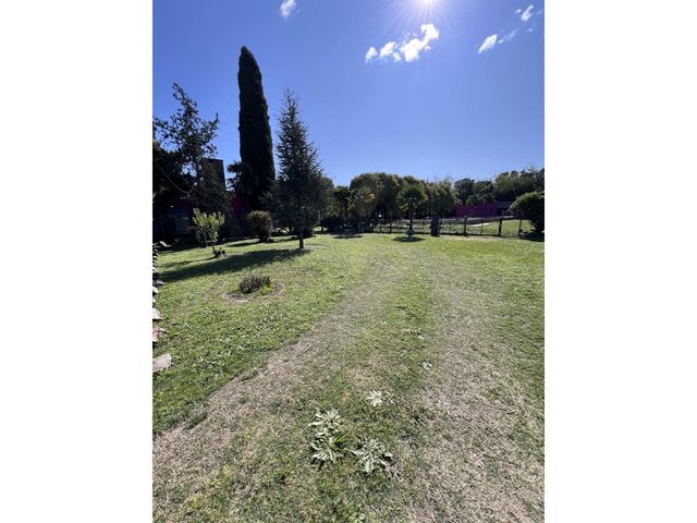 place photo 48