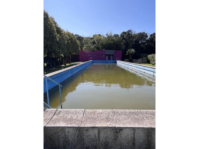place photo 46