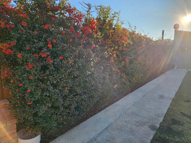 place photo 51