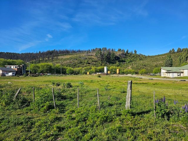 place photo 16
