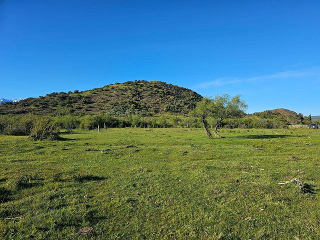 place photo 26