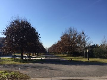 place photo 36